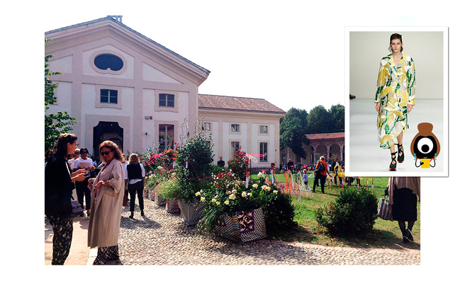 Marni in Bloom