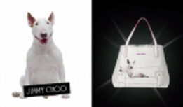       ""  Jimmy Choo