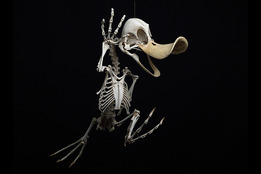    ?