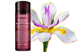  Kiehls