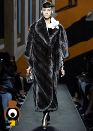 Fendis Silver Fox: Celebrating 50 Glorious Years of Karl
