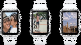 Apple Watch    31 