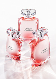  :   Shiseido