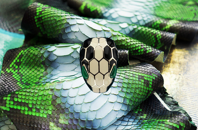   Bvlgari   
