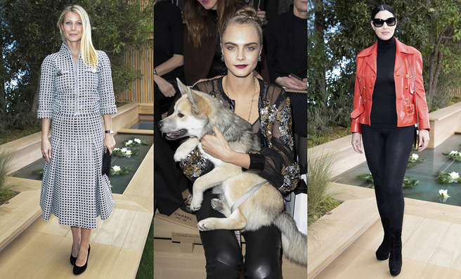   Chanel Couture