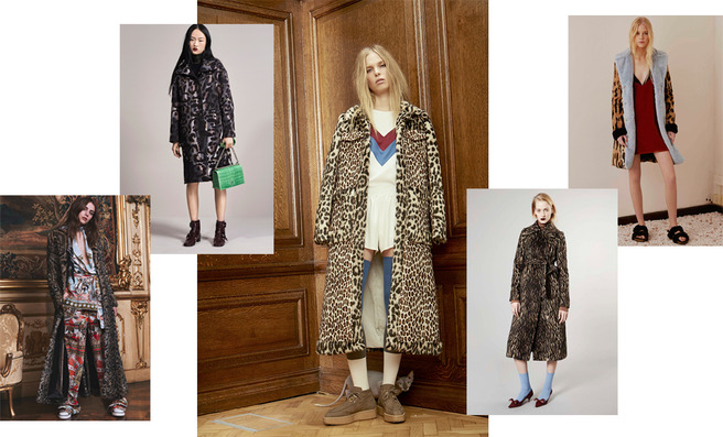  : 20     pre-fall