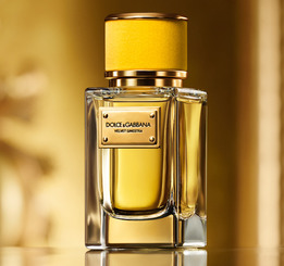     Velvet Ginestra Dolce & Gabbana