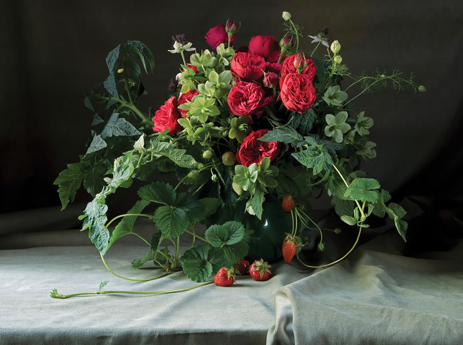    Styling Nature