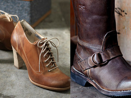 ��������� ����� �����-���� 2009/10