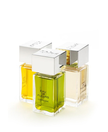 Трио Chloe Eau de Fleurs