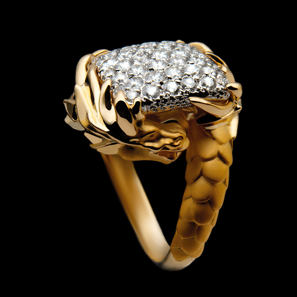 Carrera y Carrera Circulos de Fuego