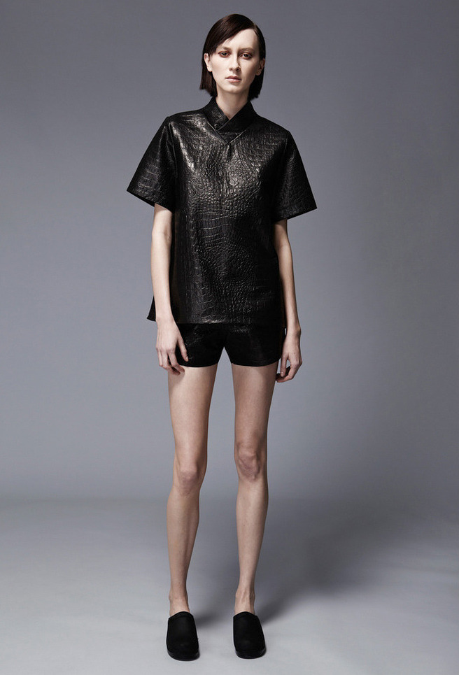 Wayne pre-fall 2013