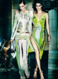     Roberto Cavalli Spring 2013