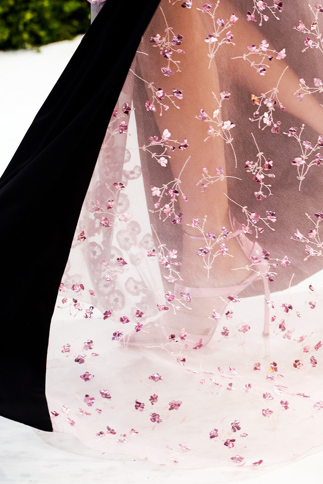      Christian Dior Haute Couture / 2013