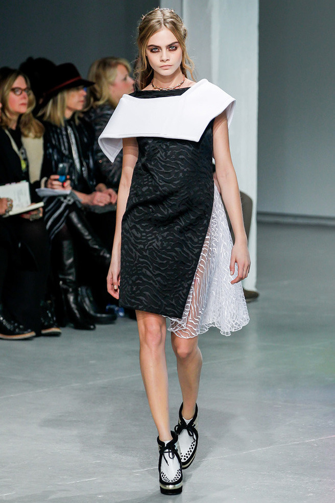 Rodarte / 2013-14
