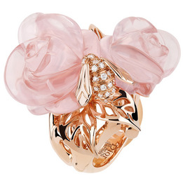  :  Rose Dior Pr Catelan