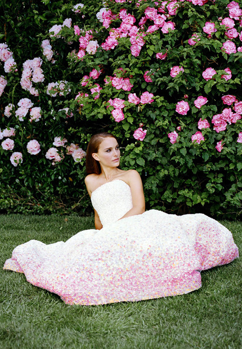     La Vie En Rose