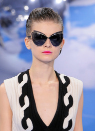 Christian Dior / 2013-14
