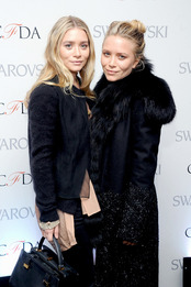     CFDA-2013