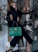   -   Mulberry