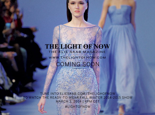   Elie Saab