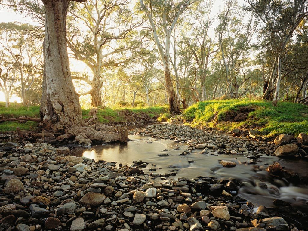 Jacob's Creek